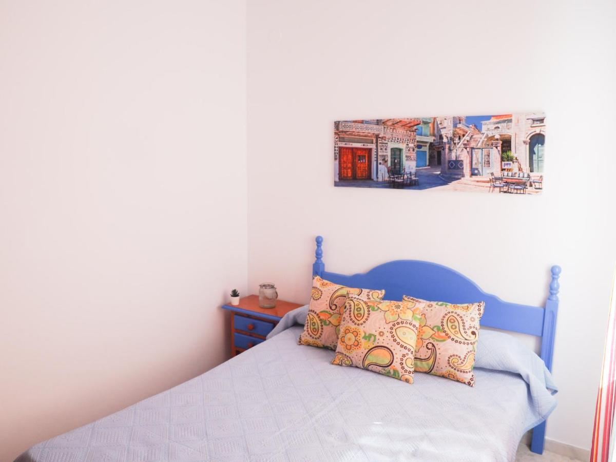 Conilplus Apartments Alberti 科尼尔-德拉弗龙特拉 外观 照片